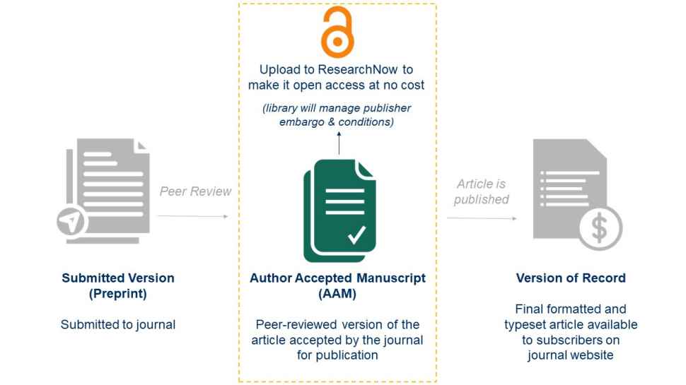 Diagram showing different journal article manuscript versions. The first document icon is labelled Submitted Version and is described as the manuscript submitted to the journal. This version then undergoes peer review and is accepted by the journal for publication, so it becomes the Author Accepted Manuscript or AAM. The AAM then becomes published in the article’s final form, which has a dollar symbol on it and is labelled as the Version of Record, it is the final formatted and typeset article available to subscribers on the journal website. The AAM document has an arrow pointing to the international symbol for open access, which is an unlocked padlock, and says to upload this AAM version to ResearchNow to be made open access at no cost.