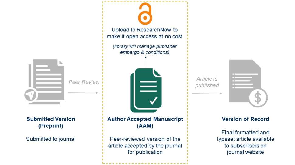 Diagram showing different journal article manuscript versions. The first document icon is labelled Submitted Version and is described as the manuscript submitted to the journal. This version then undergoes peer review and is accepted by the journal for publication, so it becomes the Author Accepted Manuscript or AAM. The AAM then becomes published in the article’s final form, which has a dollar symbol on it and is labelled as the Version of Record, it is the final formatted and typeset article available to subscribers on the journal website. The AAM document has an arrow pointing to the international symbol for open access, which is an unlocked padlock, and says to upload this AAM version to ResearchNow to be made open access at no cost.